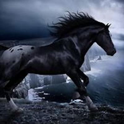 The Dark Horse 